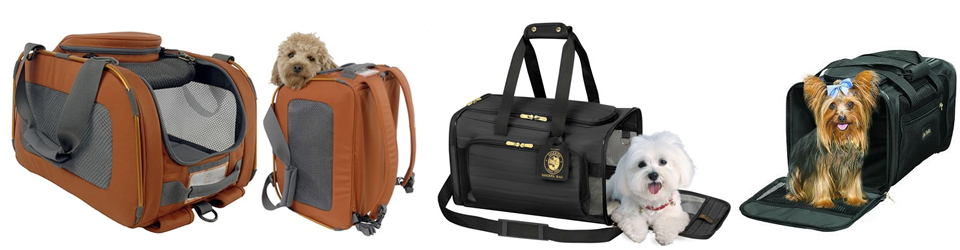 Airline Approved Dog Carriers – A collection of the best